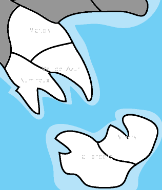 Election Results by Region